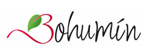 bohumin_logo_2013_02