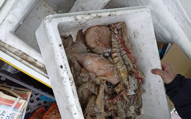 SVS při společné kontrole s celníky v areálu SAPA odhalila prodej více než 300 kg nevyhovujících potravin a týrání prodávaných ryb