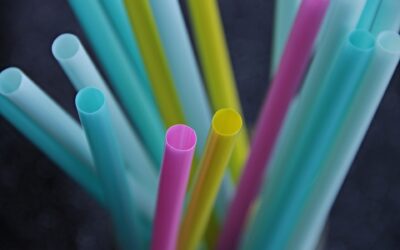 Začátek konce jednorázových plastů je tady