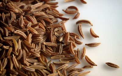 Potravinářská inspekce zjistila na trhu římský kmín s koktejlem jedenácti pesticidních látek