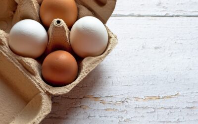 Víš, co jíš? Označování vajec a medu