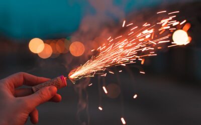 ČOI: Česká obchodní inspekce realizovala v závěru loňského roku 198 kontrol prodejců pyrotechniky. U poloviny z ukončených kontrol zjistila pochybení