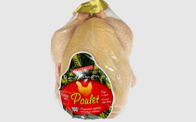 SVS varuje před kuřaty z Francie s výskytem salmonely. Spotřebitelé by je neměli konzumovat