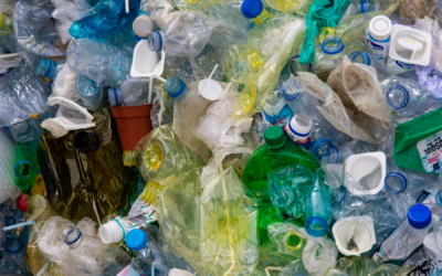 Červenec bez plastů připomíná, že i malé změny mohou snížit množství odpadu